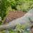 PalaceDinosaur's profile image