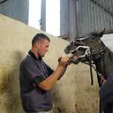 Mark Kane - @MarkMick_Kane - Twitter