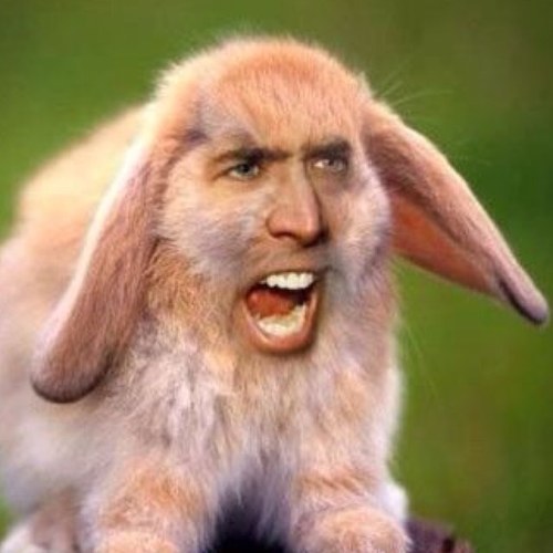 Stand_And_Bang's profile picture. 