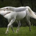 Rex Beasley - @beasley2rex - Twitter