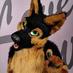 Sako (@sundownshep) Twitter profile photo