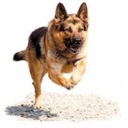 Gwen Browning - @gwenxevw - Twitter