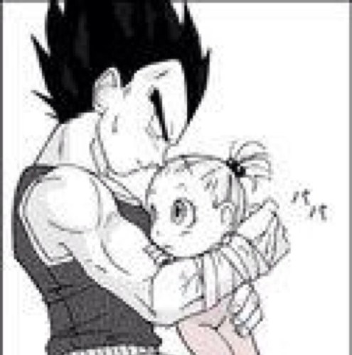 i am the prince of all saiyans vegeta! my wife is @ImmaBulmaBriefs i am father to bulla, trunks and @LilJackiebriefs