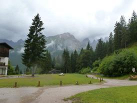 pierotosi1's profile picture. perito agragio e cinofilo