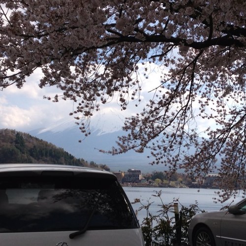 yasu_jgullyj
