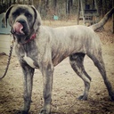 Kaleb Carter - @CarterBoy76 - Twitter