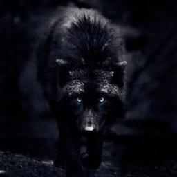 AlexIcecat159's profile picture. 