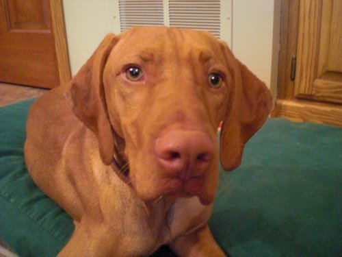 SankenWhitey's profile picture. 