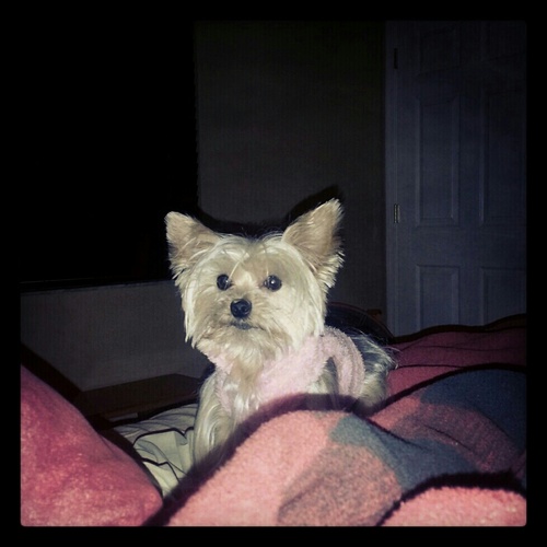 elizabethrealin's profile picture. 