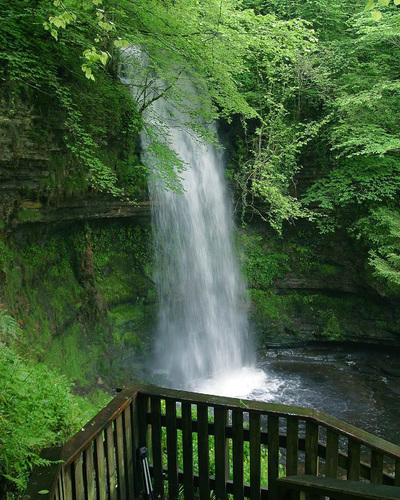 angelryan33's profile picture. I am chef and a holistic nutritonist I am also a board member of The Vancouver Fruir Tree.Project as well as a member of The Environmental Youth Alliance s