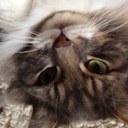 Kate Muller - @skittleskates - Twitter