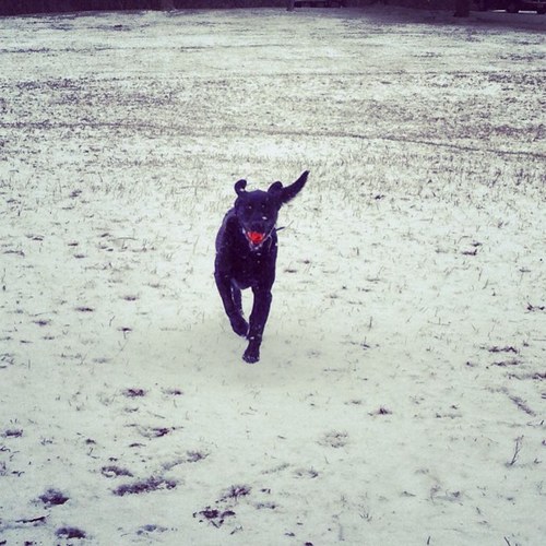 cumleyko's profile picture. 