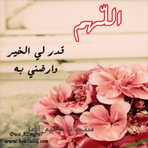 احبك ؛ فالحب لكِ خُلِق ،. ومن شفتيكِ نُطِق ، و مِن حُضنكِ عُشِق