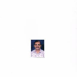 latesttech6's profile picture. 