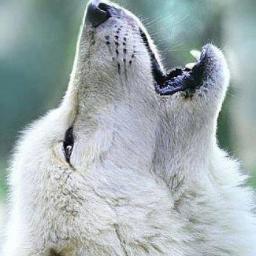 DeeDeeKelly75's profile picture. 