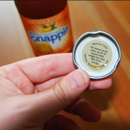 SnappleFactssss's profile picture. Typical teenager