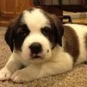 Robin Morey - @afwife84 - Twitter