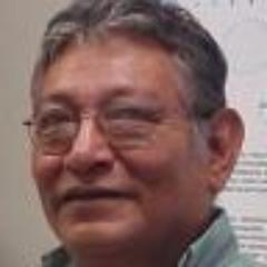 Lic. Bioanálista, Profesor universitario. Multimedia e Informática Educativa.