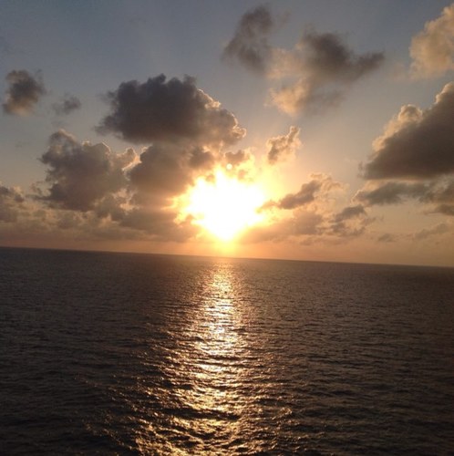 nikamasri's profile picture. 