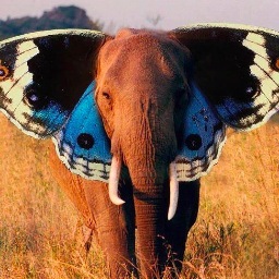 whatarewedoing_'s profile picture. 