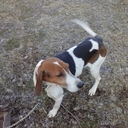 drew cooper - @drewcooper1770 - Twitter