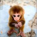 Anna Serena - @Tsereng - Twitter