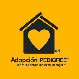 Todos los perros merecen tener un hogar y una familia que los ame.
Programa actual sólo para Región Metropolitana. Pronto esperamos expandirnos a todo Chile.