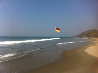 Zorganik's profile picture. 