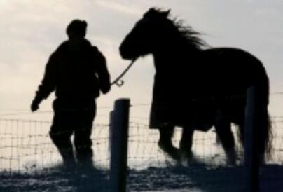 My life, as a stable hand.