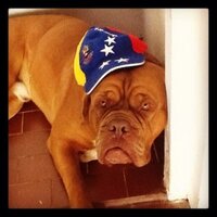 JoseAlejandroRM (@josealejandrorm) 's Twitter Profile Photo