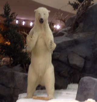 bgstewart2's profile picture. 