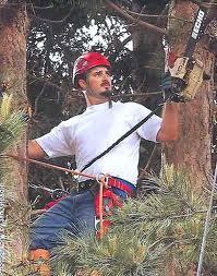 Professional Nation Wide Tree Service Management Company