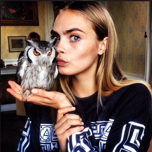 TeamCaraD's profile picture. hi! we love and support beautiful model Cara Delevingne. follow us for facts, pics, and news! ask for follow back x #DELEVINGNERS ❤