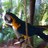 Milly81178655's profile image