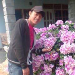 my lovely @dhea asifa amelia  Hanya kamulah yang dapat memberi aku 1.000 inspirasi saat otak ku benar benar jenuh ♥