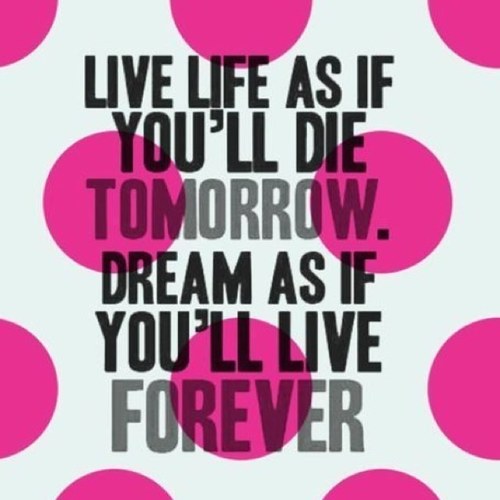 honestykillshun's profile picture. 