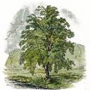 Barbara Barton - @BarbaraB747 - Twitter