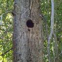 diane crossman - @mommamonkey47 - Twitter