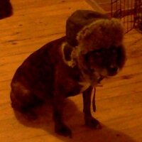 watsun (@geowats6) 's Twitter Profile