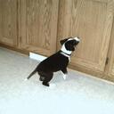 dena simpson - @disturbiaomg - Twitter