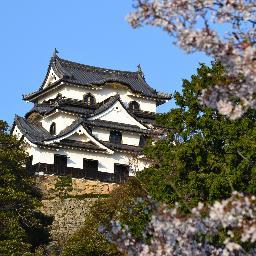 mikipon_55's profile picture. 最近は写真にはまっています。ダイエット継続中なので食事制限と運動が欠かせません。仕事でたまに韓国・中国に行きますので遊んでください！