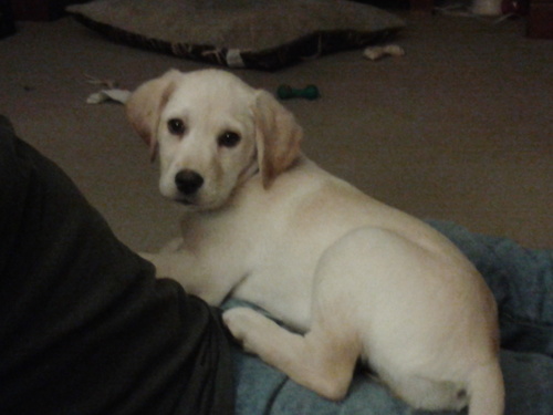 KHandwork's profile picture. 