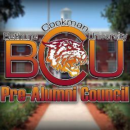 -inform students about functions of the UNCF
-RAISE funds for UNCF
-Encourage students to help each other 
-Instill students about the importace of BCU