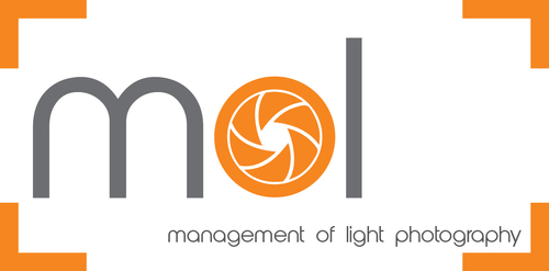 MOLPhoto's profile picture. 