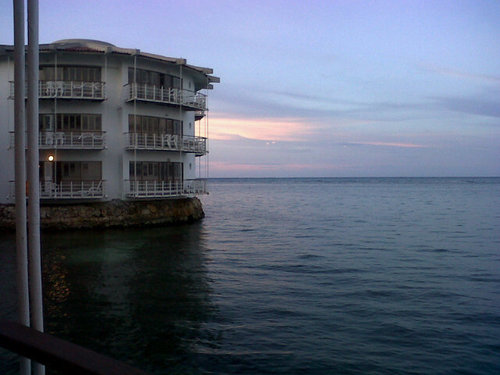 tikalex's profile picture. 