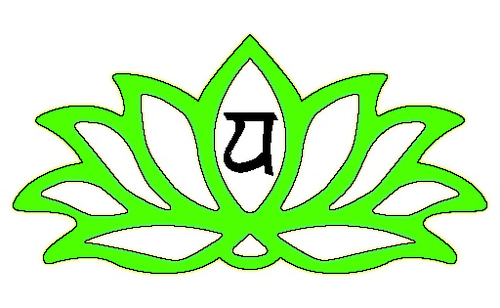 GLT_Canberra's profile picture. Green Lotus Therapies Massage and Wellbeing Centre.