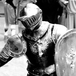 lancelute's profile picture. Mascot @ Pacific Lutheran University. 
#golutes #PLU #Lutes #Knight
http://t.co/o4S1v81uiu