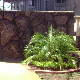 PuliConstruct's profile picture. Founded in 1990, Puli Construction provides all types of cement work.We are well known and specialize in rock walls. We do residential and commercial projects.