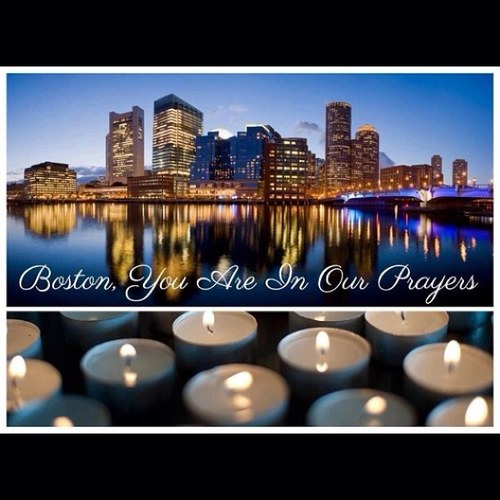 catshavefun13's profile picture. 