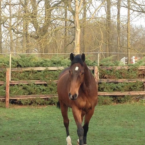 NinnaYahoo's profile picture. 